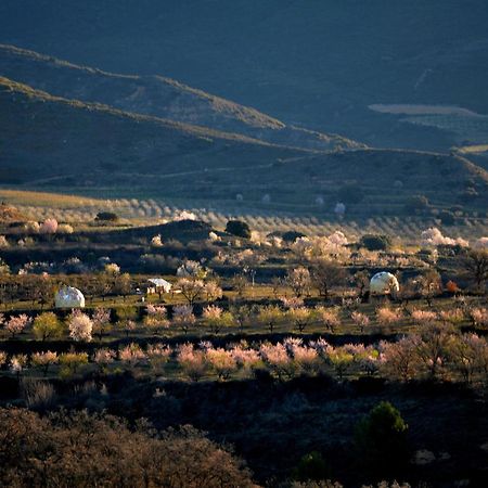 Mirador De Pideago - Gratal Y Nabiella Otel Bolea Dış mekan fotoğraf