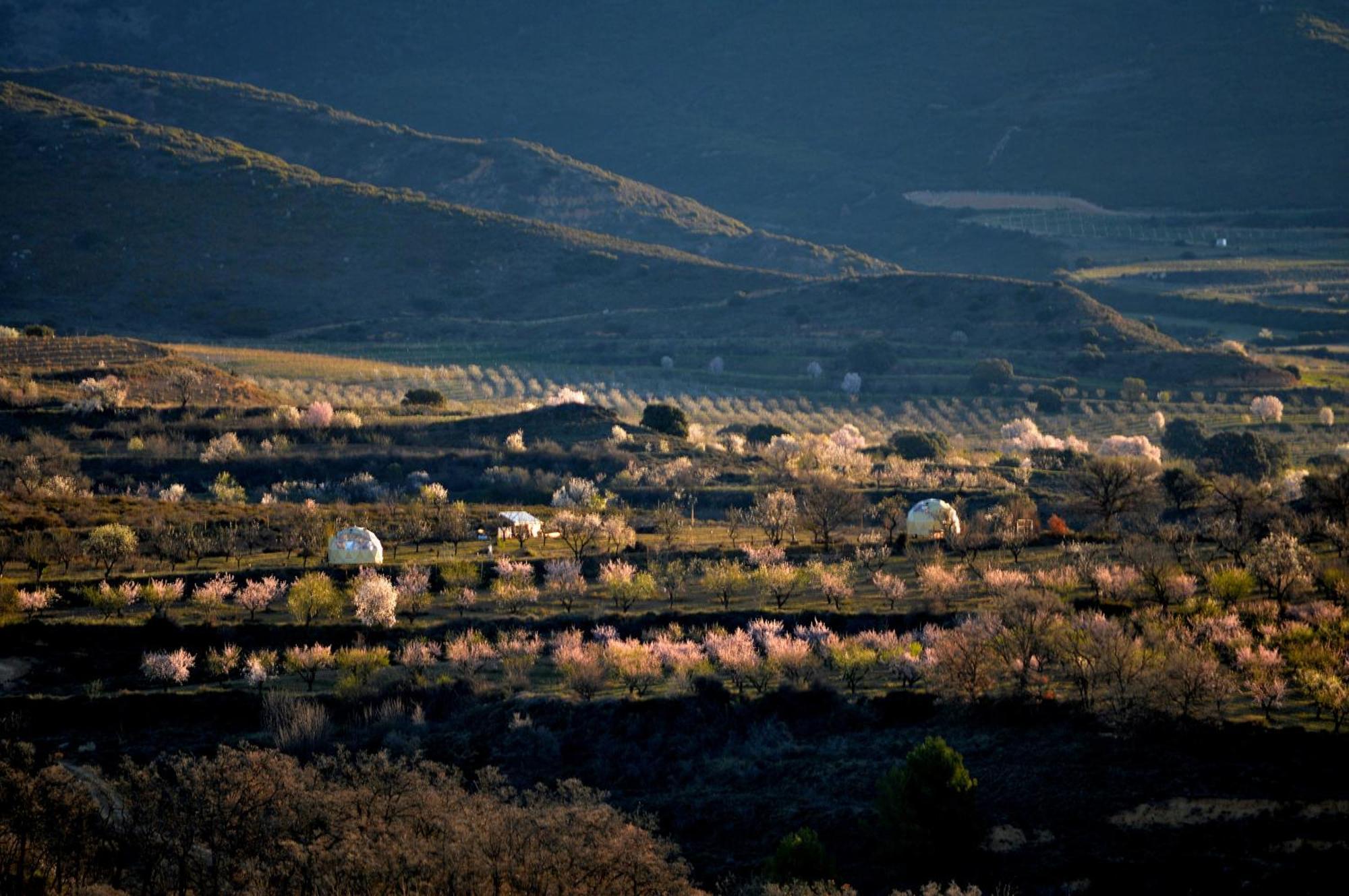Mirador De Pideago - Gratal Y Nabiella Otel Bolea Dış mekan fotoğraf